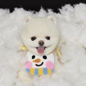 Pet Christmas scarf (rope length 77cm)